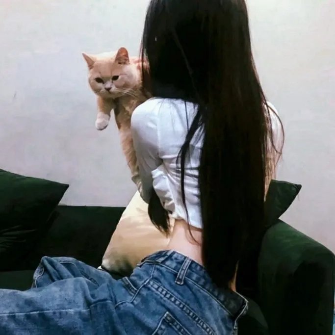 迷情纽约