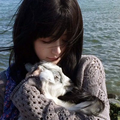 闪婚总动员